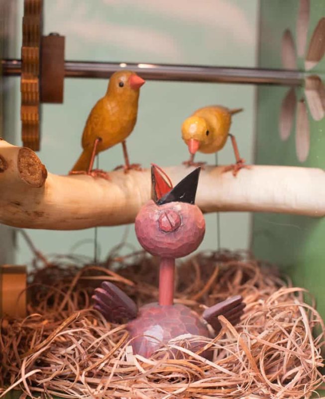 Birdhouse cowbird and finches © Cecilia Schiller