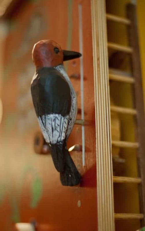 Birdhouse woodpecker © Cecilia Schiller